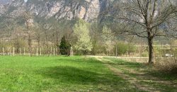 RUSTICO CON TERRENI