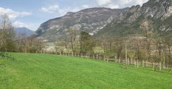 RUSTICO CON TERRENI