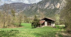 RUSTICO CON TERRENI