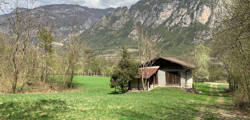RUSTICO CON TERRENI