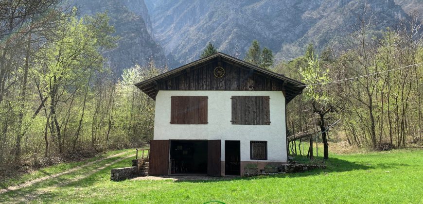 RUSTICO CON TERRENI