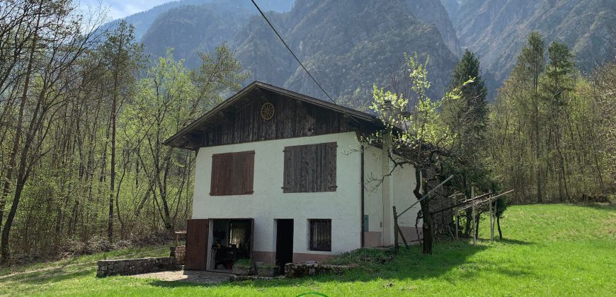 RUSTICO CON TERRENI