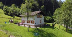 VILLA DI MONTAGNA – VAL DI SELLA