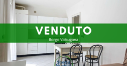 MINI APPARTAMENTO CON GARAGE E CANTINA