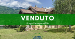 APPARTAMENTO IN BIFAMILIARE CON GIARDINO