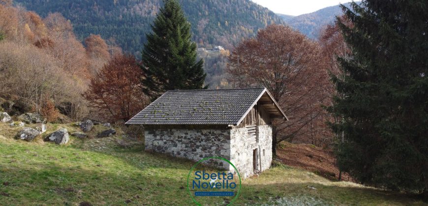 RUSTICI VAL CALAMENTO