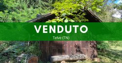 DEPOSITO CON TERRENI