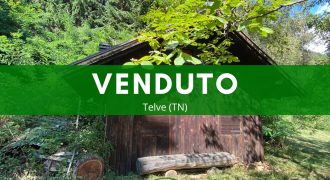 DEPOSITO CON TERRENI