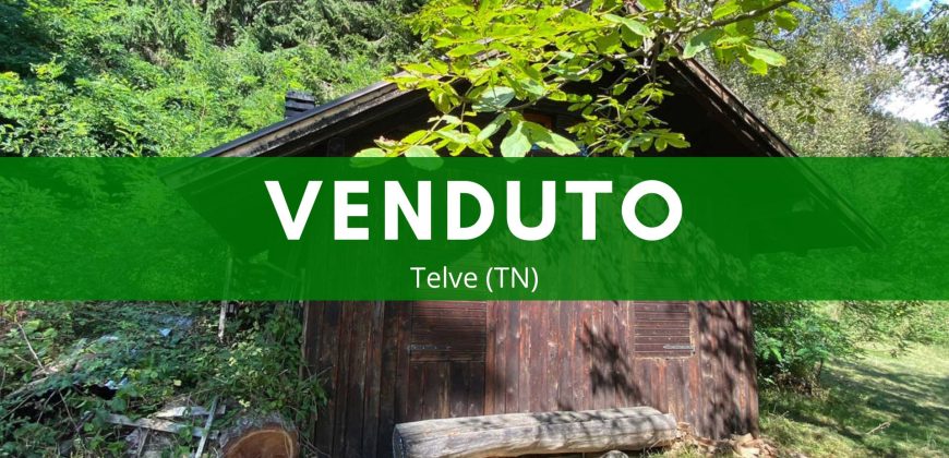 DEPOSITO CON TERRENI