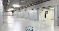 BILOCALE CON GIARDINO E GARAGE A BESENELLO