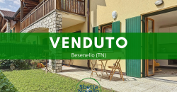 BILOCALE CON GIARDINO E GARAGE A BESENELLO