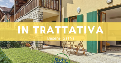 BILOCALE CON GIARDINO E GARAGE A BESENELLO