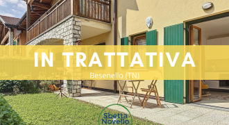 BILOCALE CON GIARDINO E GARAGE A BESENELLO