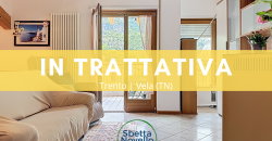 BILOCALE CON TERRAZZO A VELA