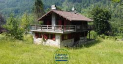VILLA SINGOLA DI MONTAGNA