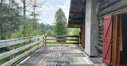 VILLA SINGOLA DI MONTAGNA