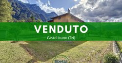 CASA SINGOLA NELLA NATURA CASA SINGOLA NELLA NATURA