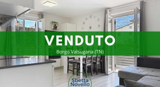 APPARTAMENTO CON DUE CAMERE E DUE GARAGE