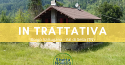 VILLA SINGOLA DI MONTAGNA
