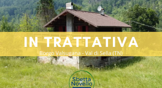VILLA SINGOLA DI MONTAGNA