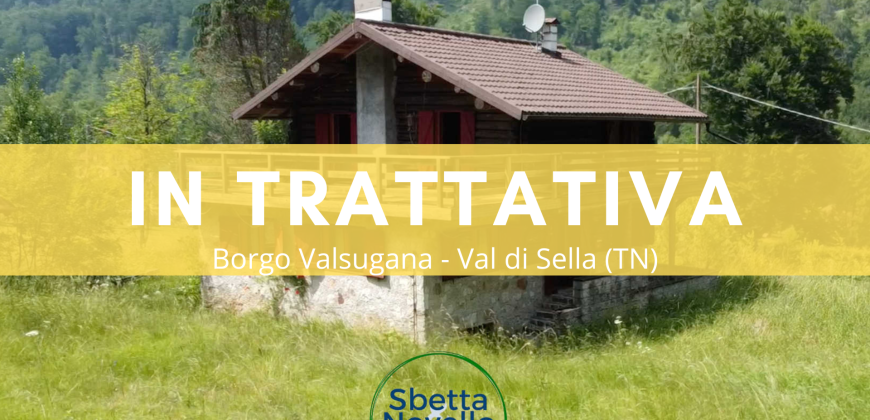 VILLA SINGOLA DI MONTAGNA