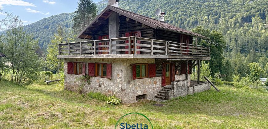 VILLA SINGOLA DI MONTAGNA