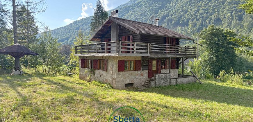 VILLA SINGOLA DI MONTAGNA