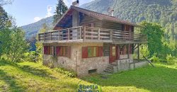 VILLA SINGOLA DI MONTAGNA