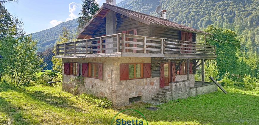 VILLA SINGOLA DI MONTAGNA