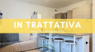 APPARTAMENTO DUE CAMERE CON GIARDINO