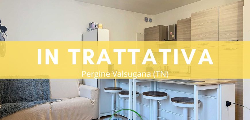 APPARTAMENTO DUE CAMERE CON GIARDINO