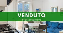 MINI APPARTAMENTO CON GARAGE E CANTINA