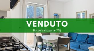 MINI APPARTAMENTO CON GARAGE E CANTINA