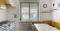 PORZIONE DI CASA TERRACIELO