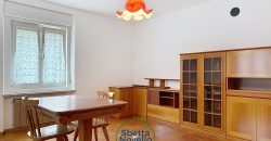 APPARTAMENTO CON GIARDINO E GARAGE