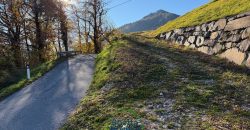 CASA SINGOLA DA RISTRUTTURARE CON VISTA PANORAMICA