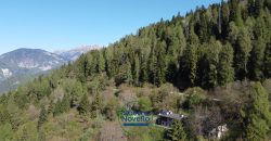 APPARTAMENTO DUPLEX IMMERSO NELLA NATURA