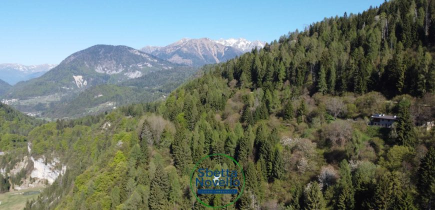 APPARTAMENTO DUPLEX IMMERSO NELLA NATURA