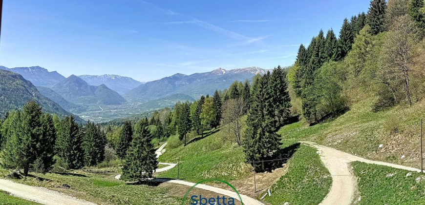 BAITA CON PANORAMA