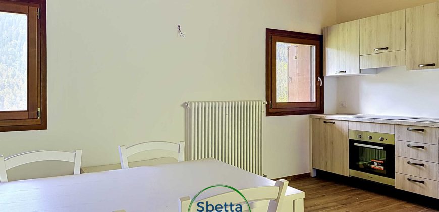 COMPLESSO DI APPARTAMENTI A CASTELLO TESINO
