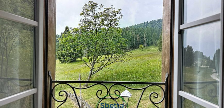 CHALET MUSIERA