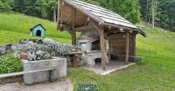 CHALET MUSIERA