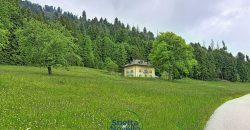 CHALET MUSIERA