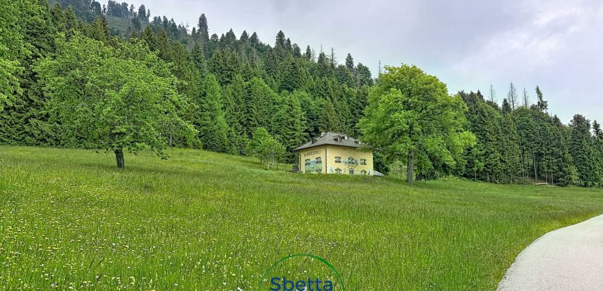 CHALET MUSIERA
