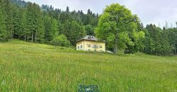 CHALET MUSIERA
