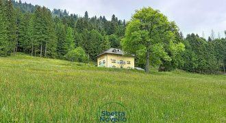 CHALET MUSIERA