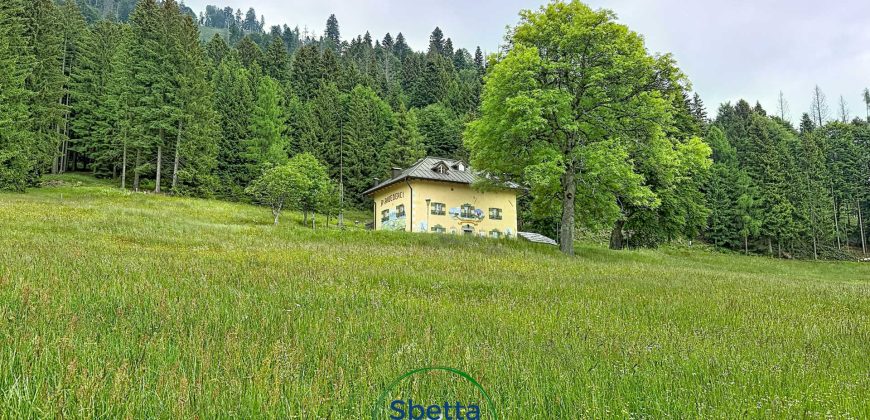CHALET MUSIERA