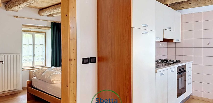 CHALET MUSIERA