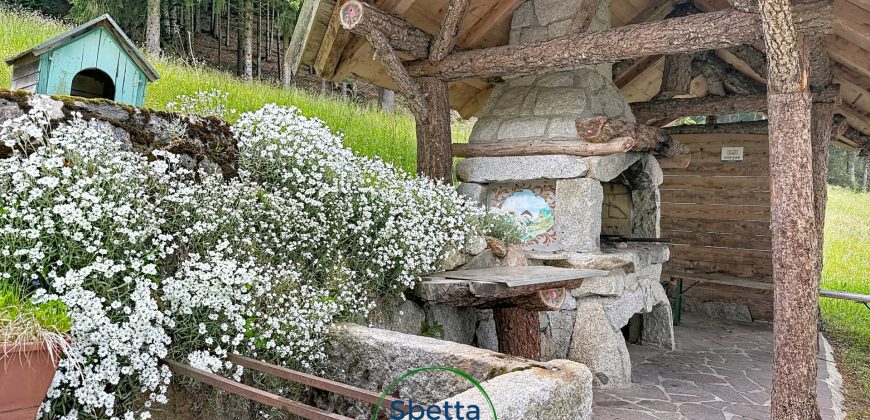 CHALET MUSIERA