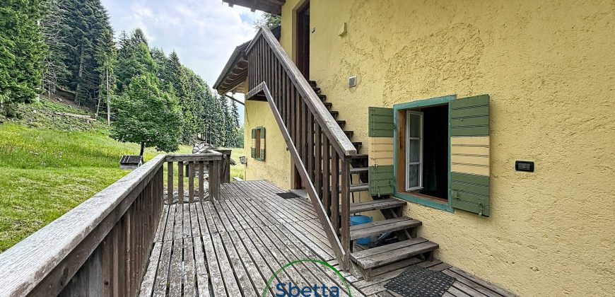 CHALET MUSIERA